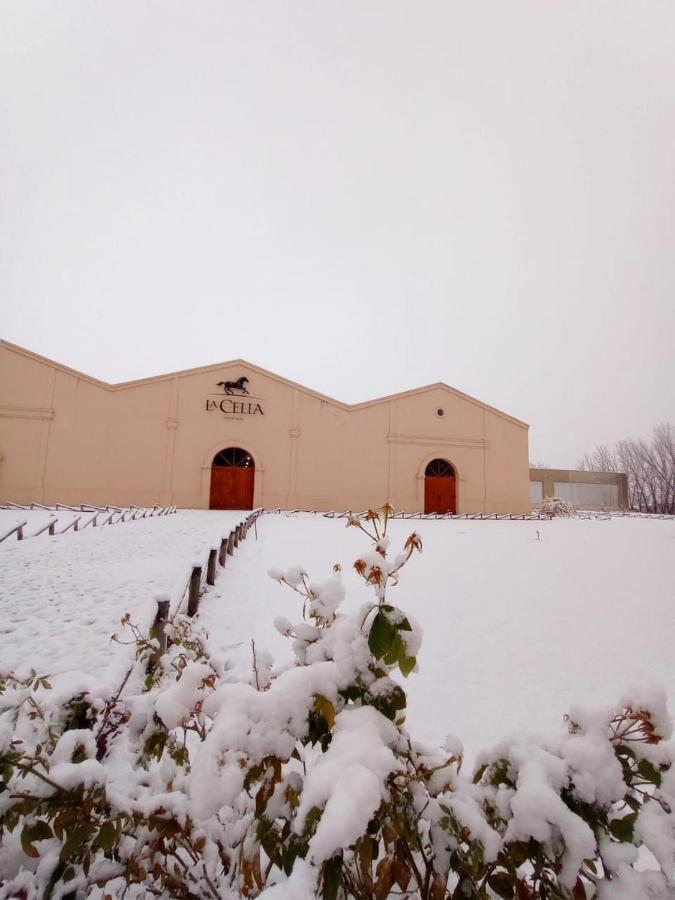 Posada La Celia Eugenio Bustos Exteriér fotografie